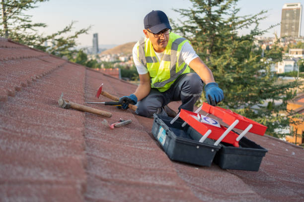 Best Storm Damage Siding Repair  in Vley Grande, AL